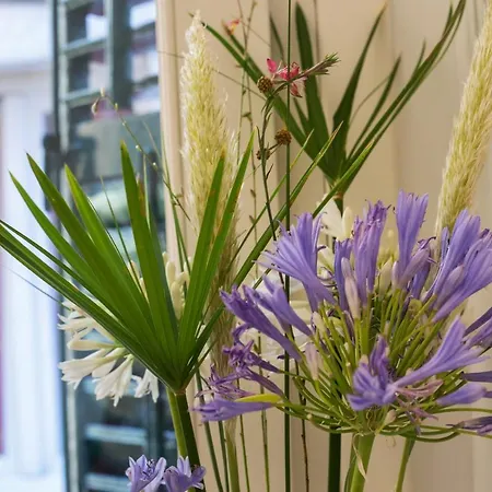 Apartamento Con Brio Corfu (city)