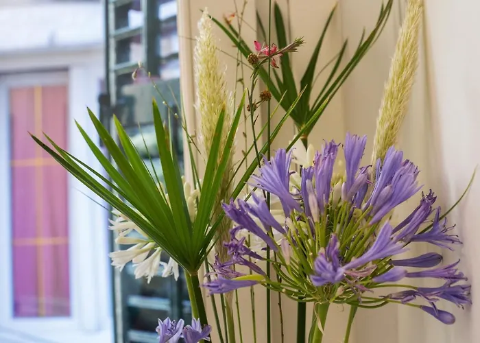 Apartamento Con Brio Corfu (city)