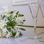 Apartamento Con Brio *